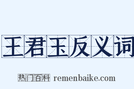 王君玉反义词是什么意思的图片
